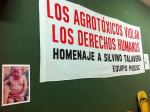 "Agrochemicals violate human rights - a tribute to Silviono Talavera."